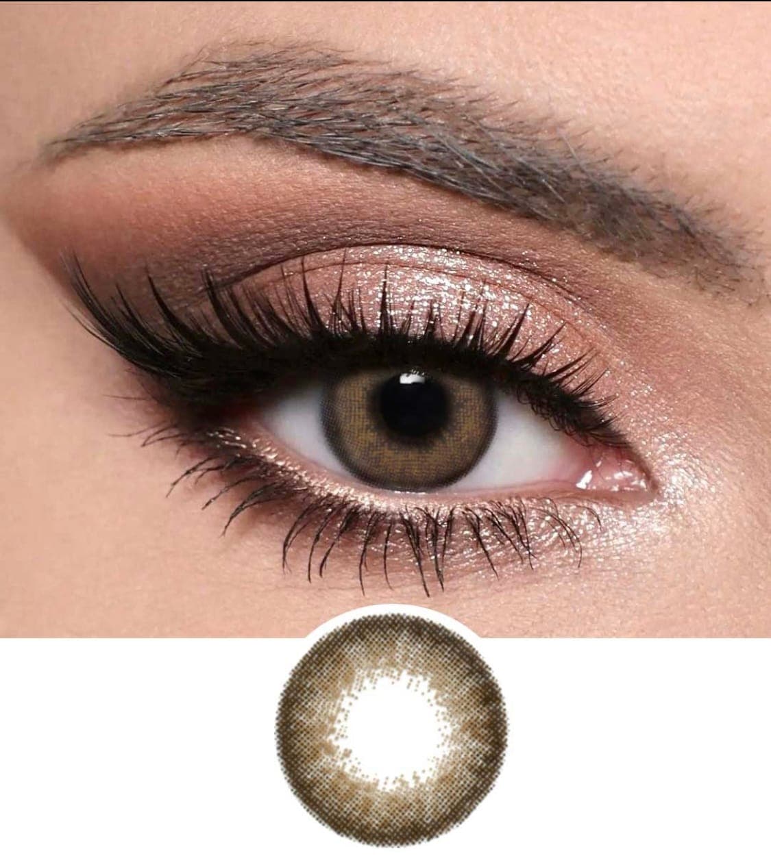 Optiano Sepia Vintage Brown Colored Lenses | 6-Month Wear | Made in Korea | 14.2–14.5mm Warm Earthy Contacts
