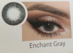 Optiano Enchant Gray Colored Contact Lenses | 6-Month Wear | Made in Korea | Mesmerizing Dreamy Gray Eyes - Image 2