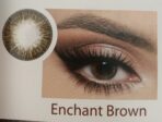 Optiano Enchant Brown Shimmering Lenses | 6-Month Wear | Made in Korea | 14.5mm Dreamy Hazel-Brown Contacts - Image 2